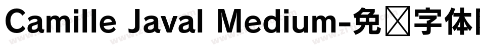 Camille Javal Medium字体转换